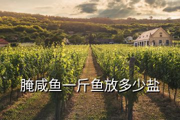 腌咸魚(yú)一斤魚(yú)放多少鹽