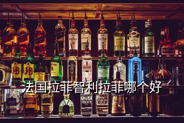 法國(guó)拉菲智利拉菲哪個(gè)好