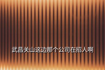 武昌關(guān)山這邊那個公司在招人啊