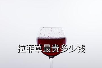 拉菲草最貴多少錢