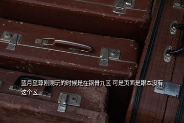 藍(lán)月至尊剛剛玩的時(shí)候是在鋼骨九區(qū) 可是頁面是跟本沒有這個(gè)區(qū)