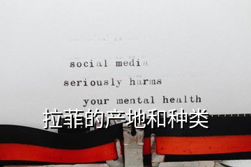 拉菲的產(chǎn)地和種類