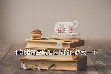 誰知道霉豆腐怎么做的請教我一下