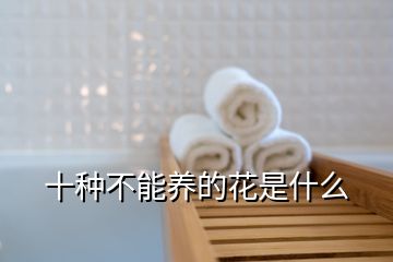 十種不能養(yǎng)的花是什么