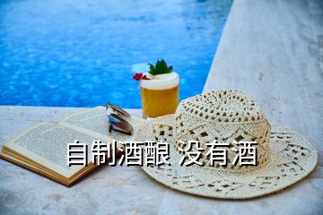 自制酒釀 沒有酒