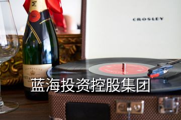 藍海投資控股集團