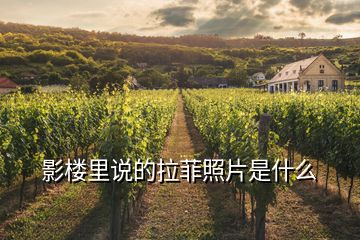 影樓里說(shuō)的拉菲照片是什么
