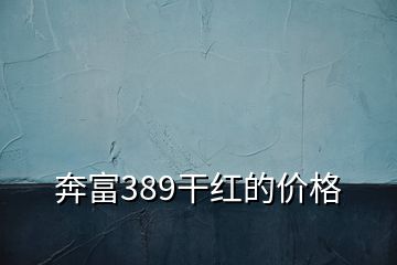 奔富389干紅的價格