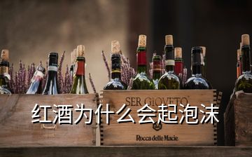 紅酒為什么會起泡沫