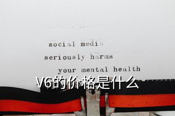 V6的價(jià)格是什么