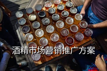 酒精市場(chǎng)營(yíng)銷推廣方案