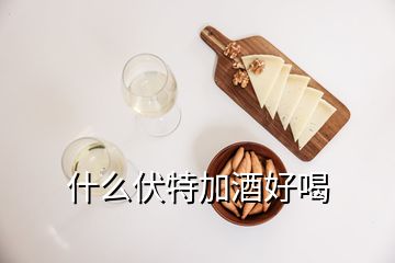 什么伏特加酒好喝