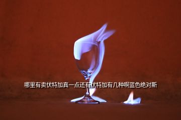 哪里有賣(mài)伏特加真一點(diǎn)還有伏特加有幾種啊藍(lán)色絕對(duì)斯