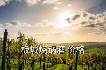 板城燒鍋酒 價格
