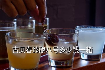 古貝春臻釀八號多少錢一箱