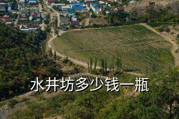 水井坊多少錢(qián)一瓶