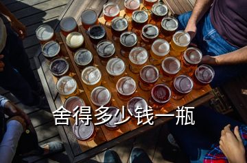 舍得多少錢一瓶
