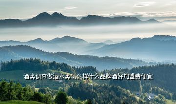 酒類調(diào)查做酒水類怎么樣什么品牌酒好加盟費便宜
