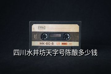 四川水井坊天字號(hào)陳釀多少錢