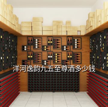 洋河逸韻九五至尊酒多少錢(qián)