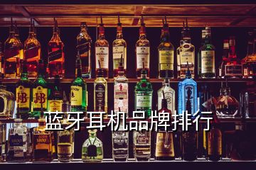 藍(lán)牙耳機(jī)品牌排行