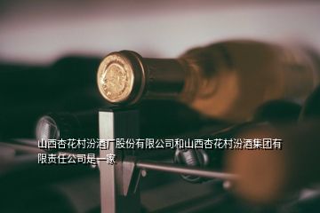 山西杏花村汾酒廠股份有限公司和山西杏花村汾酒集團(tuán)有限責(zé)任公司是一家