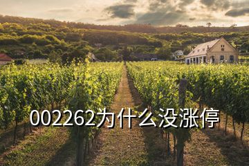 002262為什么沒(méi)漲停