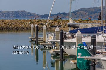 請(qǐng)問(wèn)下大家從上海松江汽車站到上海達(dá)豐電腦怎么坐車啊 還有達(dá)豐電