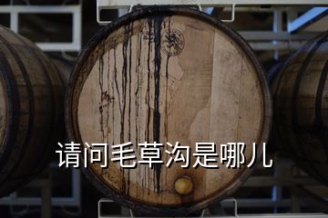 請(qǐng)問(wèn)毛草溝是哪兒