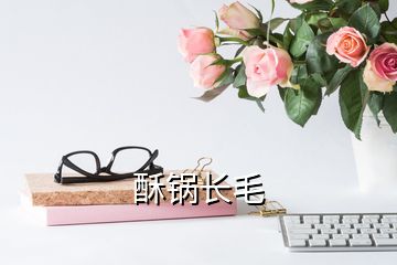 酥鍋長(zhǎng)毛