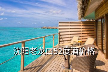 沈陽老龍口52度酒價格