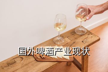 國(guó)外啤酒產(chǎn)業(yè)現(xiàn)狀