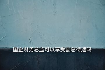 國(guó)企財(cái)務(wù)總監(jiān)可以享受副總待遇嗎
