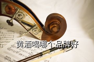 黃酒喝哪個(gè)品牌好