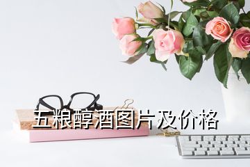五糧醇酒圖片及價(jià)格