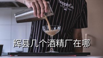 輝縣幾個酒精廠在哪