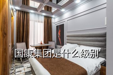 國(guó)康集團(tuán)是什么級(jí)別
