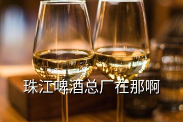珠江啤酒總廠(chǎng)在那啊