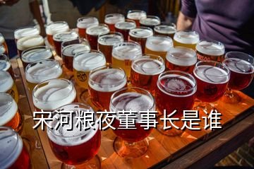宋河糧夜董事長(zhǎng)是誰(shuí)