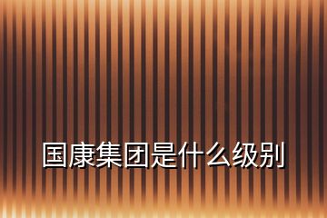 國(guó)康集團(tuán)是什么級(jí)別