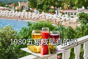 1980五糧液是真的嗎