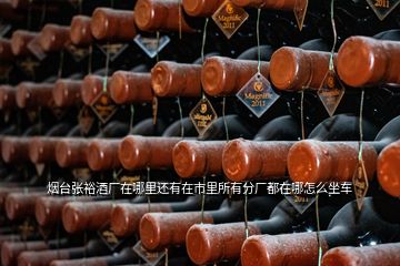 煙臺(tái)張?jiān)＞茝S在哪里還有在市里所有分廠都在哪怎么坐車(chē)