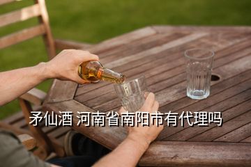 矛仙酒 河南省南陽(yáng)市有代理嗎
