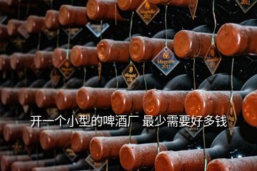 開一個(gè)小型的啤酒廠 最少需要好多錢