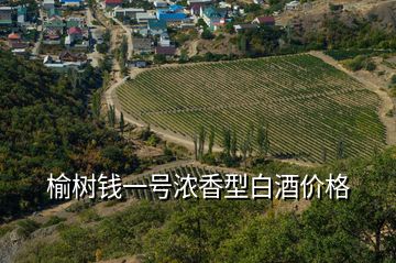 榆樹(shù)錢(qián)一號(hào)濃香型白酒價(jià)格
