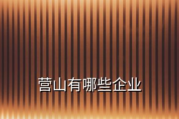 營山有哪些企業(yè)