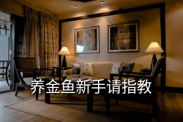 養(yǎng)金魚(yú)新手請(qǐng)指教