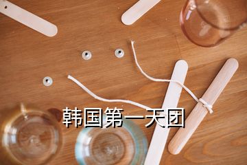 韓國第一天團(tuán)
