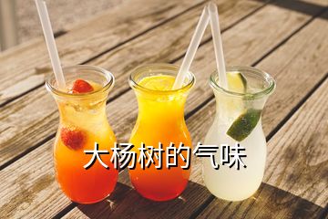 大楊樹的氣味