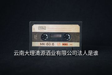 云南大理清源酒業(yè)有限公司法人是誰